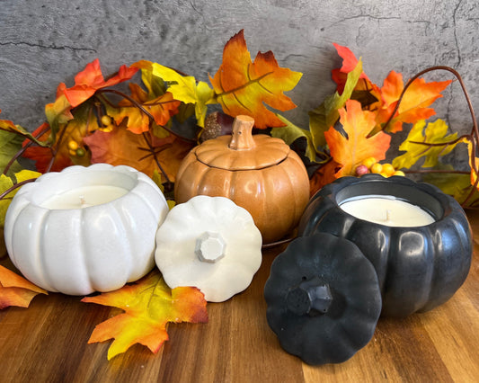 Autumn Collection 2024